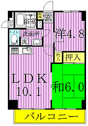アムール 4階/-