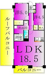 クレセントコートおおたかの森 7階/707