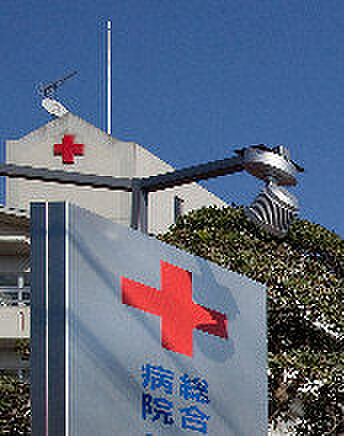 画像19:小張総合病院（827m）