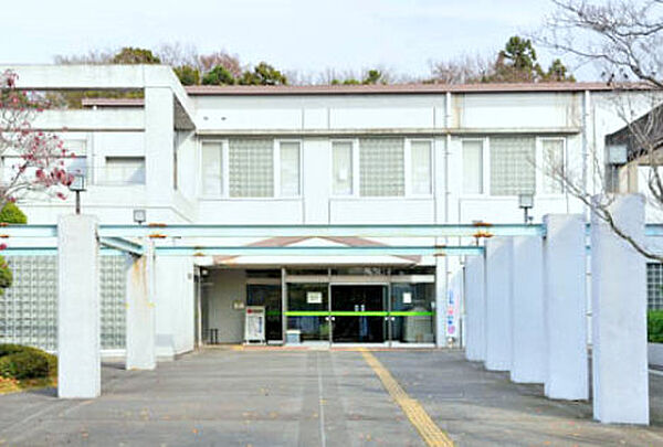 アルカディアＣ