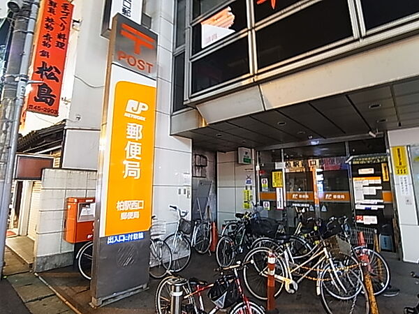 Regalo Kashiwa　〜レガーロ　カシワ〜