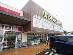 マミーマート 柏の葉店（552m）