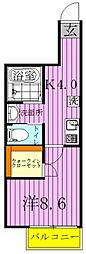 メゾンアスカ 1階1Kの間取り