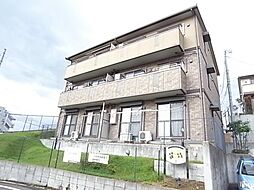 リシアンサス・ガーデンC