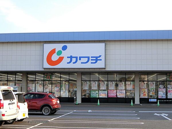 画像16:カワチ薬品 栃木インター店（209m）