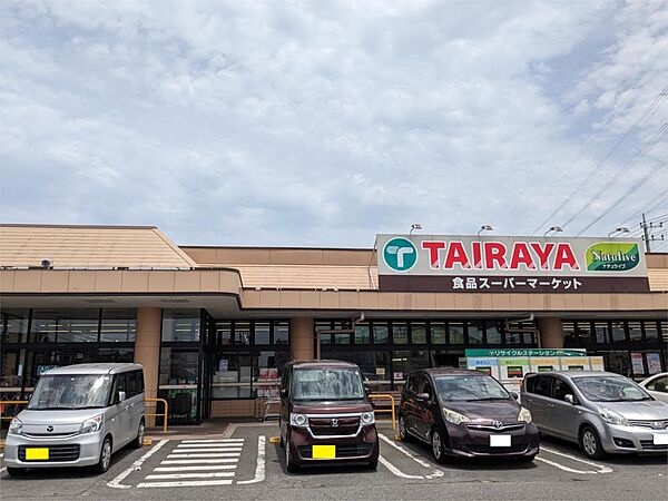 画像18:TAIRAYA小金井店（855m）