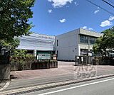 詳徳中学校まで1000m