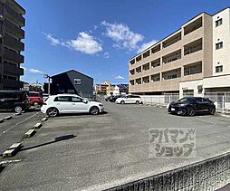 8 / 18