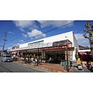 スーパー「マルヤス橋南店まで556ｍ」