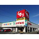 ドラックストア「スギ薬局藤方店まで331ｍ」
