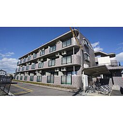 ベルカルム・Ｓ