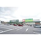 ドラックストア「ジップドラッグ一身田店まで979ｍ」
