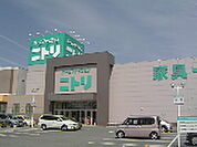 ホームセンター「ニトリ津店まで1045ｍ」
