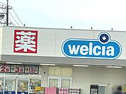 ドラックストア「ウエルシア津神納町店まで737ｍ」
