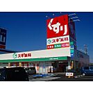 ドラックストア「スギ薬局津新町店まで294ｍ」