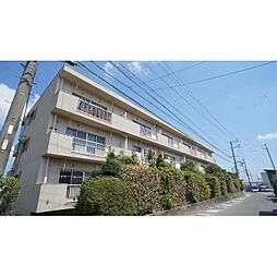 シバタマンション