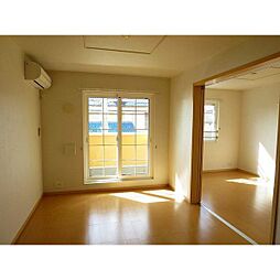 イエローフォレスト 201