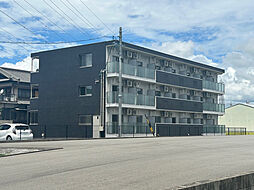 ＶＩＧＯＲＥ　Ｓｈｉｒａｓｕｋａ