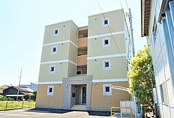 Ｍ.Ｋ.ｐｒｉｍｏｒ