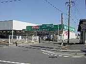 ドラックストア「ドラッグセイムス北楠店まで422ｍ」