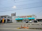 ドラックストア「スギ薬局末永店まで1857ｍ」