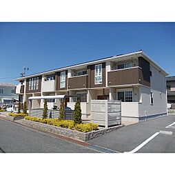セレーノ・ダンディライオン