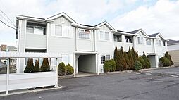 ピュアフォレスト