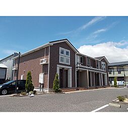 サン　フィット2