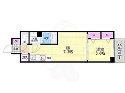 ベラジオレガシー葛野大路八条 10階/-