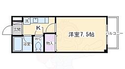 コートジュエル 3階/-
