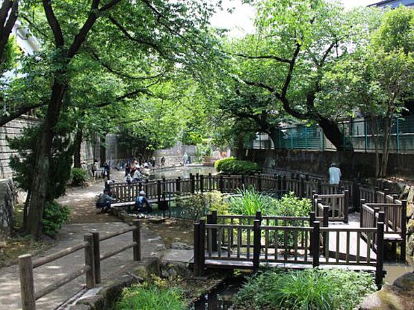 オーパスレジデンス中板橋 ｜東京都板橋区中板橋(賃貸マンション1LDK・8階・35.37㎡)の写真 その15