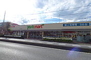ヨークマート 柳崎店（330m）