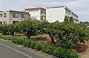 浜松市立浜北北部中学校