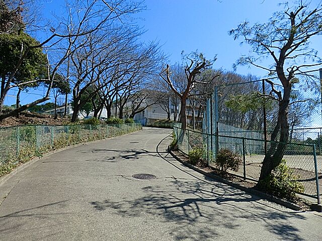 周辺 グラン・コート東松戸 4階/-