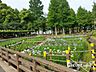 周辺：しょうぶ沼公園 徒歩8分。 640m