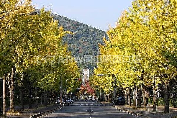 画像11:岡山大学 津島キャンパス 1191m