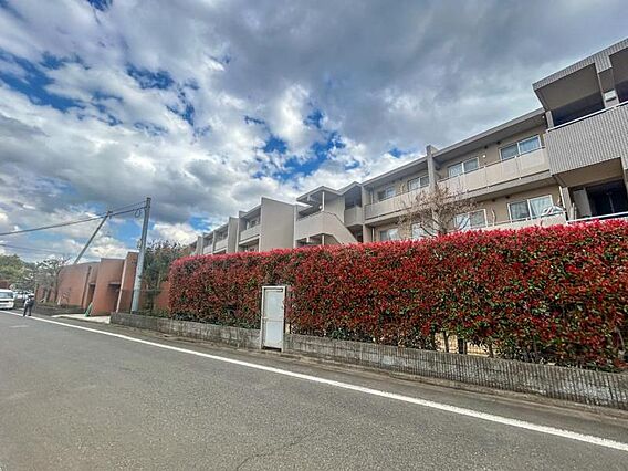 【エントランス...