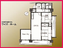 ハイネス野方 3LDKの間取図画像