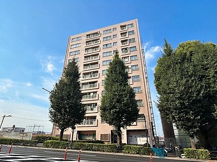 【外観】陽光をたっぷりと取り込む明るい住空間。圧迫感がなく街並みに馴染む落ち着いた佇まい。