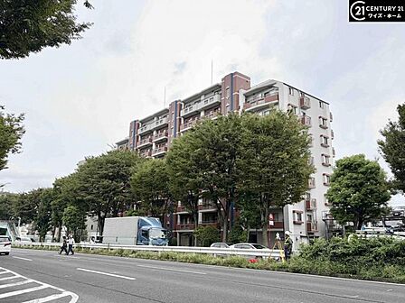 【外観】どっしりとした安定感あるフォルムに、丁寧な管理が育んだ普遍の気品が息づく佇まい。