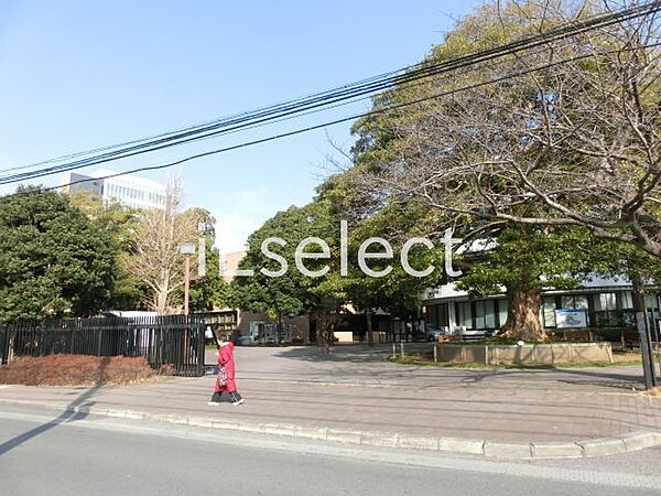 画像20:私立淑徳大学千葉キャンパス 徒歩18分。 1430m