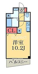 Fortitudo四街道
