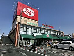 ドゥセードル