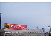 ドラッグトップス南高田店