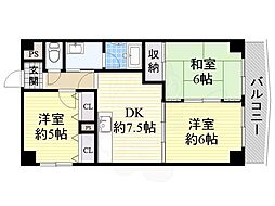 ピノヴェルデ 7階/-