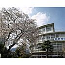 小学校「飯田市立浜井場小学校まで960ｍ」