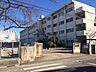 周辺：柏原小学校柏原小学校 687m