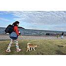 うみかぜ公園 541m