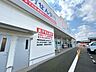周辺：【スーパー】ウェルシア神栖若松店様まで260ｍ。日々のお買い物に欠かせないスーパーまで徒歩圏内。近くにスーパーがあると買い忘れがあってもすぐにお買い物できるので便利ですね。