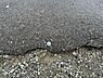 外観：【境界】間口南側の境界杭です。新たに測量を行いますのでお引渡しの際に現況測量図をお渡しします。